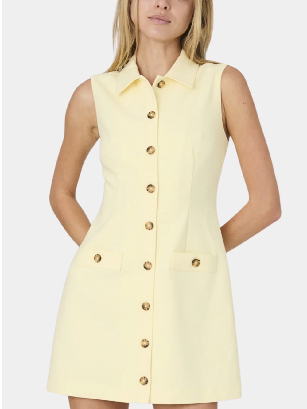 French Connection Azra Twill Sleeveless Button Dress, size 2
